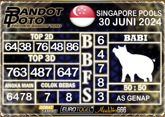 Prediksi Togel Singapore Pools 30 JUNI 2024