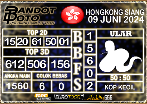 Prediksi Togel HK Siang 09 JUNI 2024