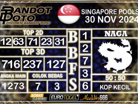 Prediksi Togel Singapore Pools 30 NOVEMBER 2024