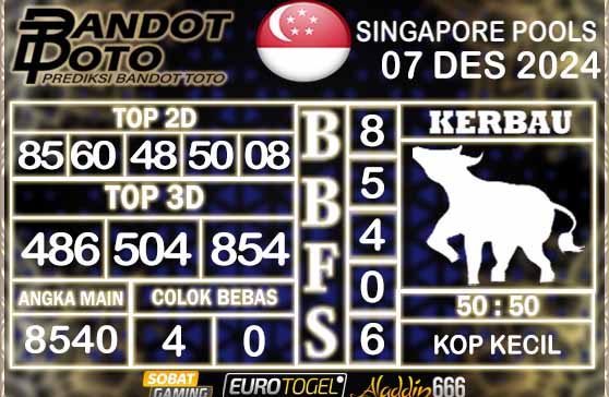 Prediksi Togel Singapore Pools 07 DESEMBER 2024